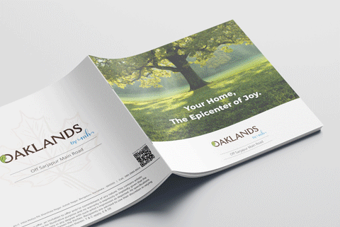 professional catalogue designer for retail