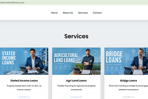 professional website designer