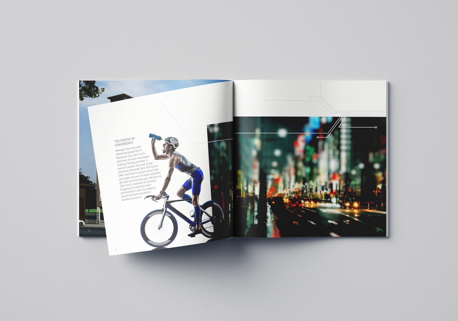 Bangalore-based freelance WordPress designer